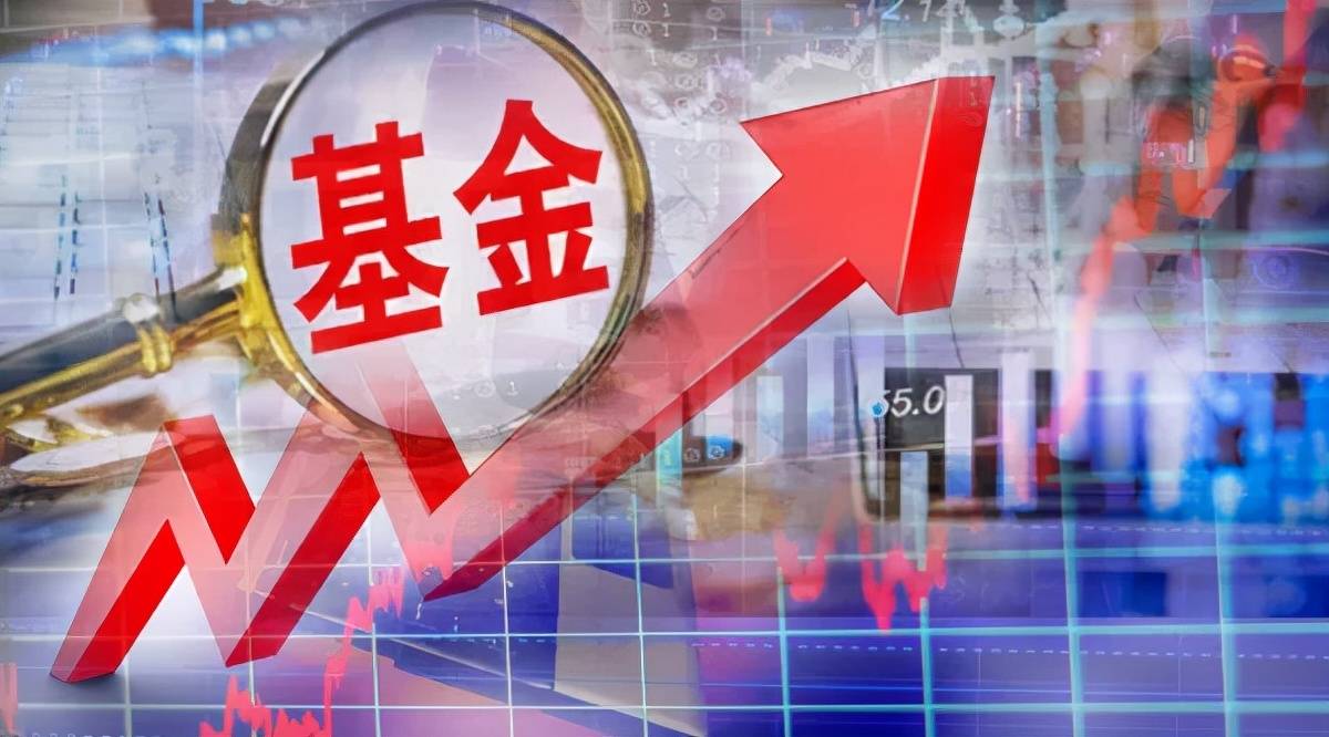 “专业买手”公募FOF最新重仓基金曝光