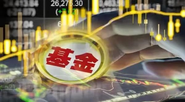 这类基金大回血！单日最高大涨13%，限购也打开了