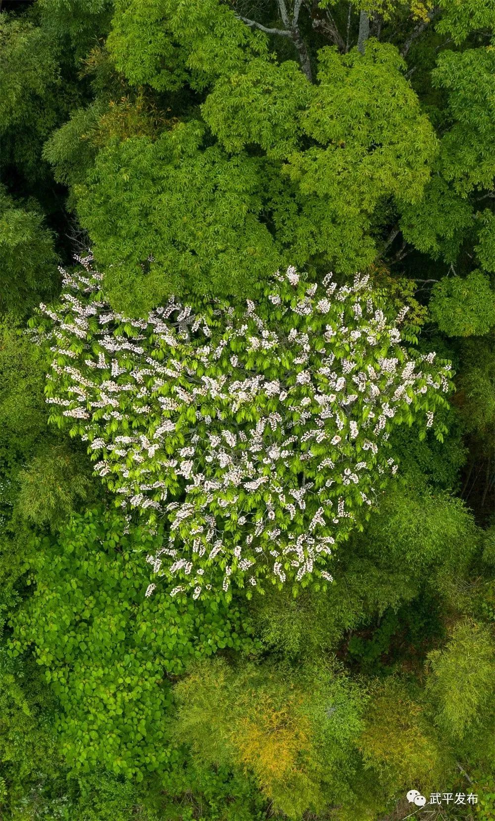 共护地球美好未来 工银瑞信基金奋力书写“绿色金融”大文章