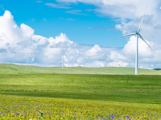 棒杰股份通过补充协议缓解资金压力 “反内卷”促进光伏行业健康发展