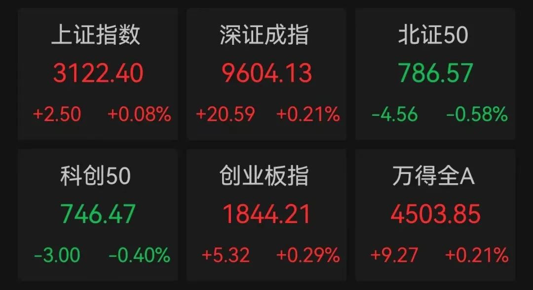 创业板一季度营收稳步增长 龙头企业受资金关注