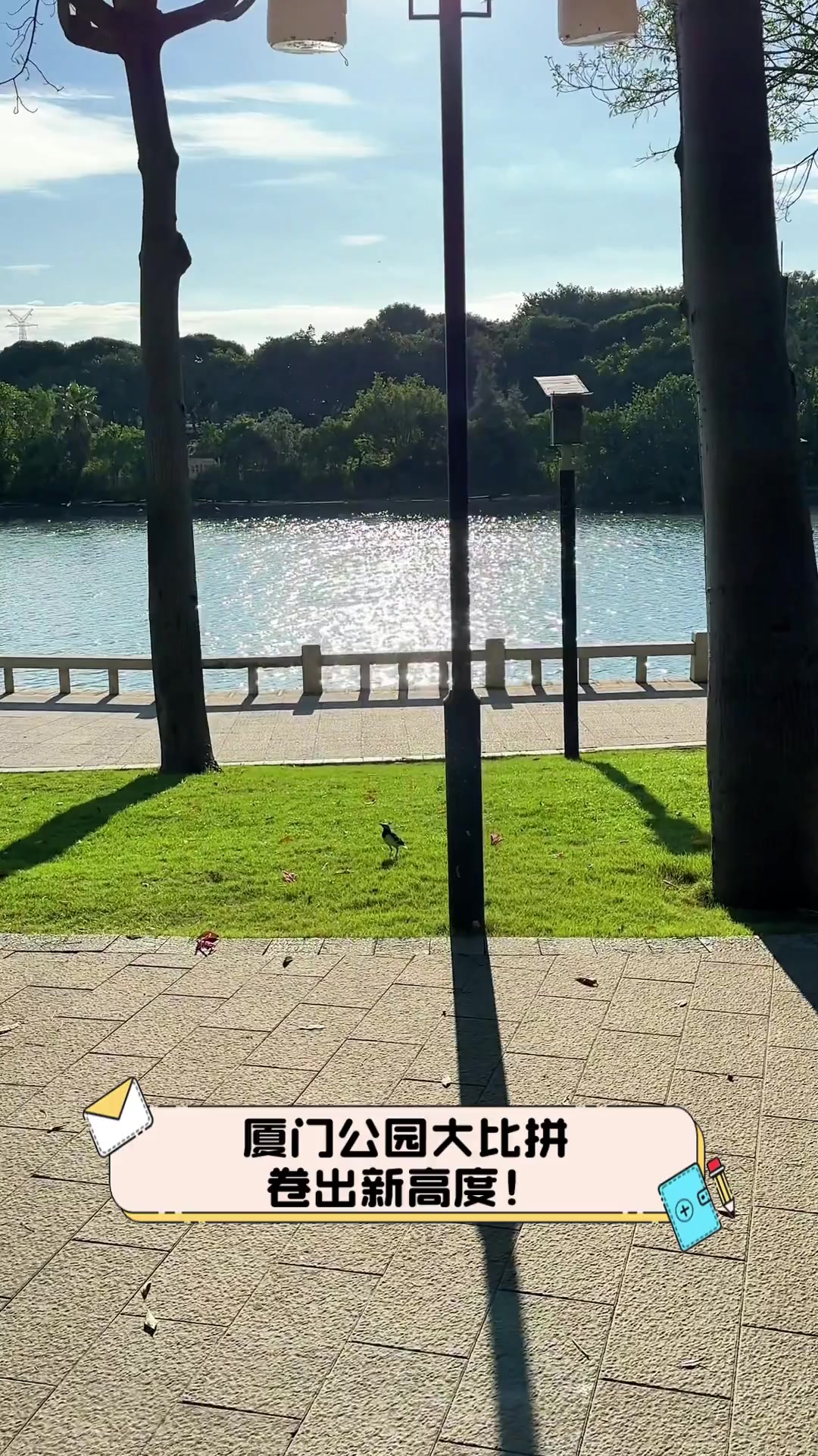 卷出新高度！一年最高可分红12次……