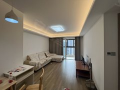 华丽家族涨停，上榜营业部合计净买入2520.12万元