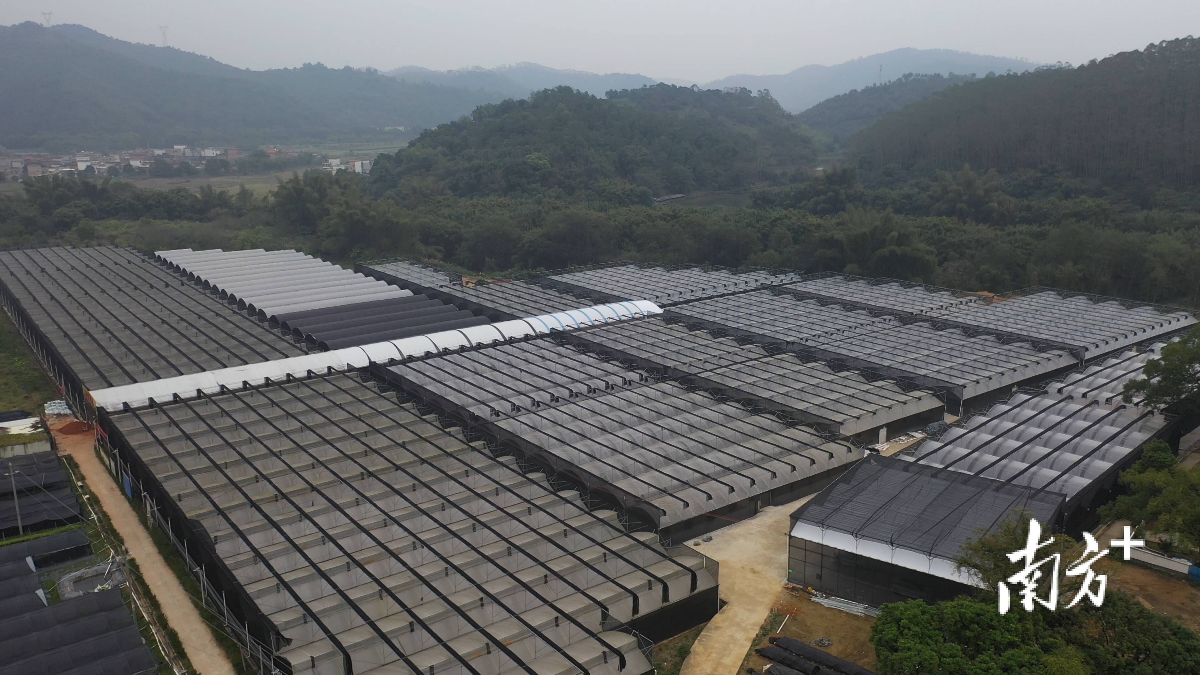 11月份快递业务收入完成1429.9亿元 同比增长12.8%