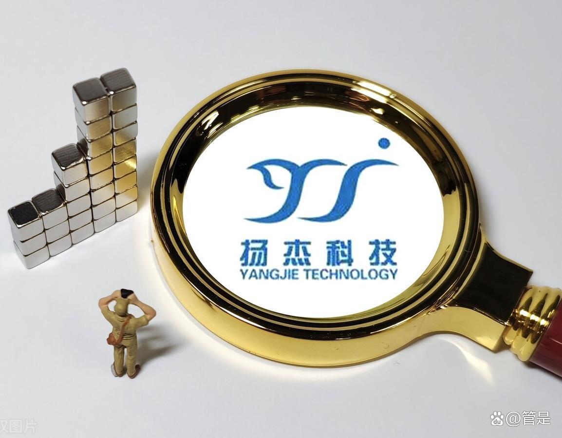 长线投入持续深耕 这家IDM龙头助推半导体国产化