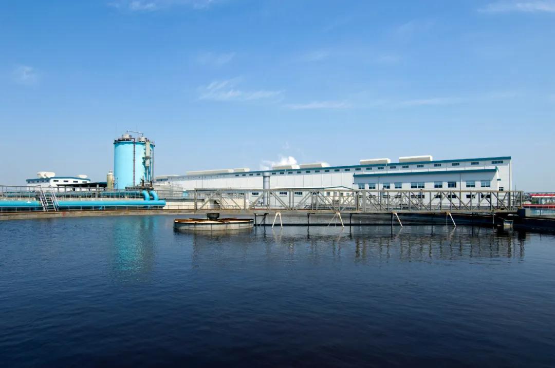 造纸板块走强 景兴纸业等涨停