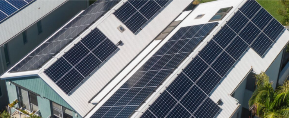 隆基绿能：将从三方面推动BC电池技术降本，对海外扩产保持审慎态度