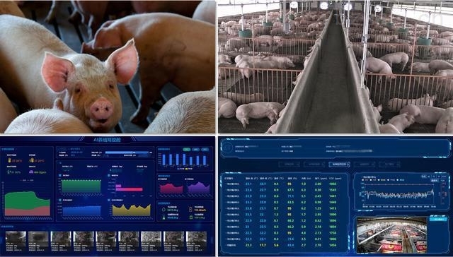 大禹生物推进养猪业务 拟于山西投建智慧养殖基地