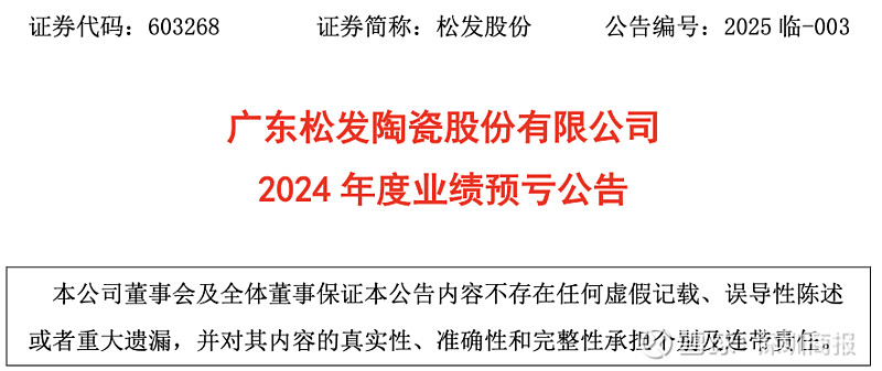 华源控股涨停 预计2024年净利润暴增