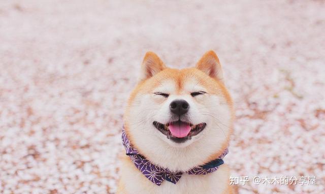 基金1月20日参与8家公司的调研活动