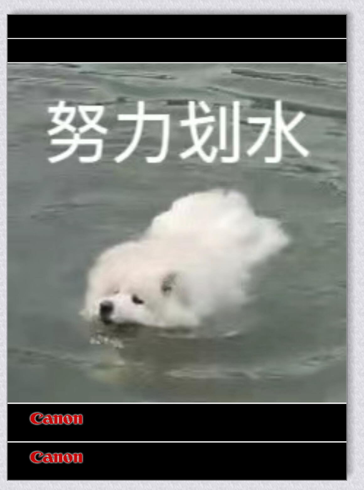 小米：非常抱歉，要扫大家的兴了！