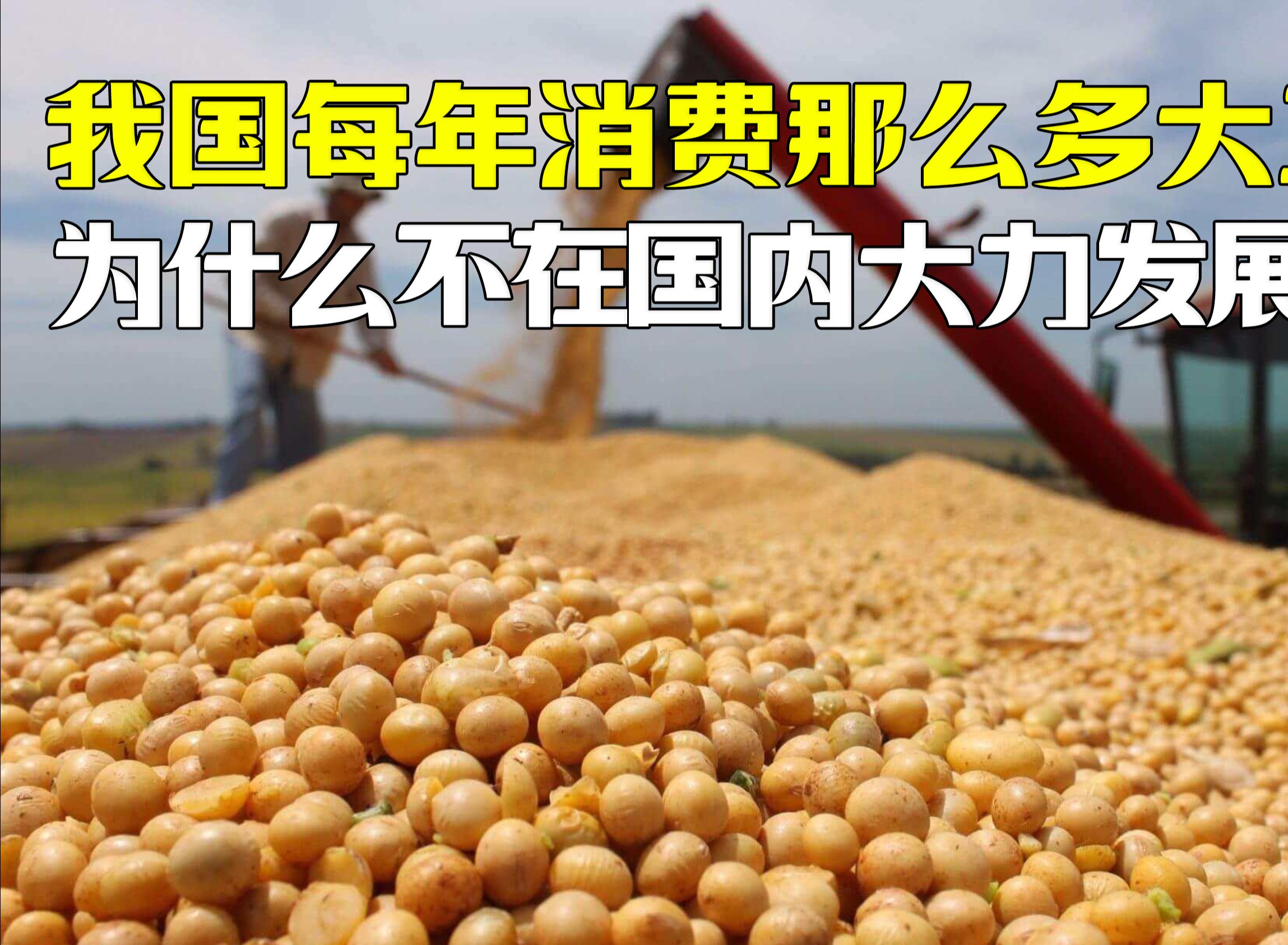 大豆概念涨2.99%，主力资金净流入这些股