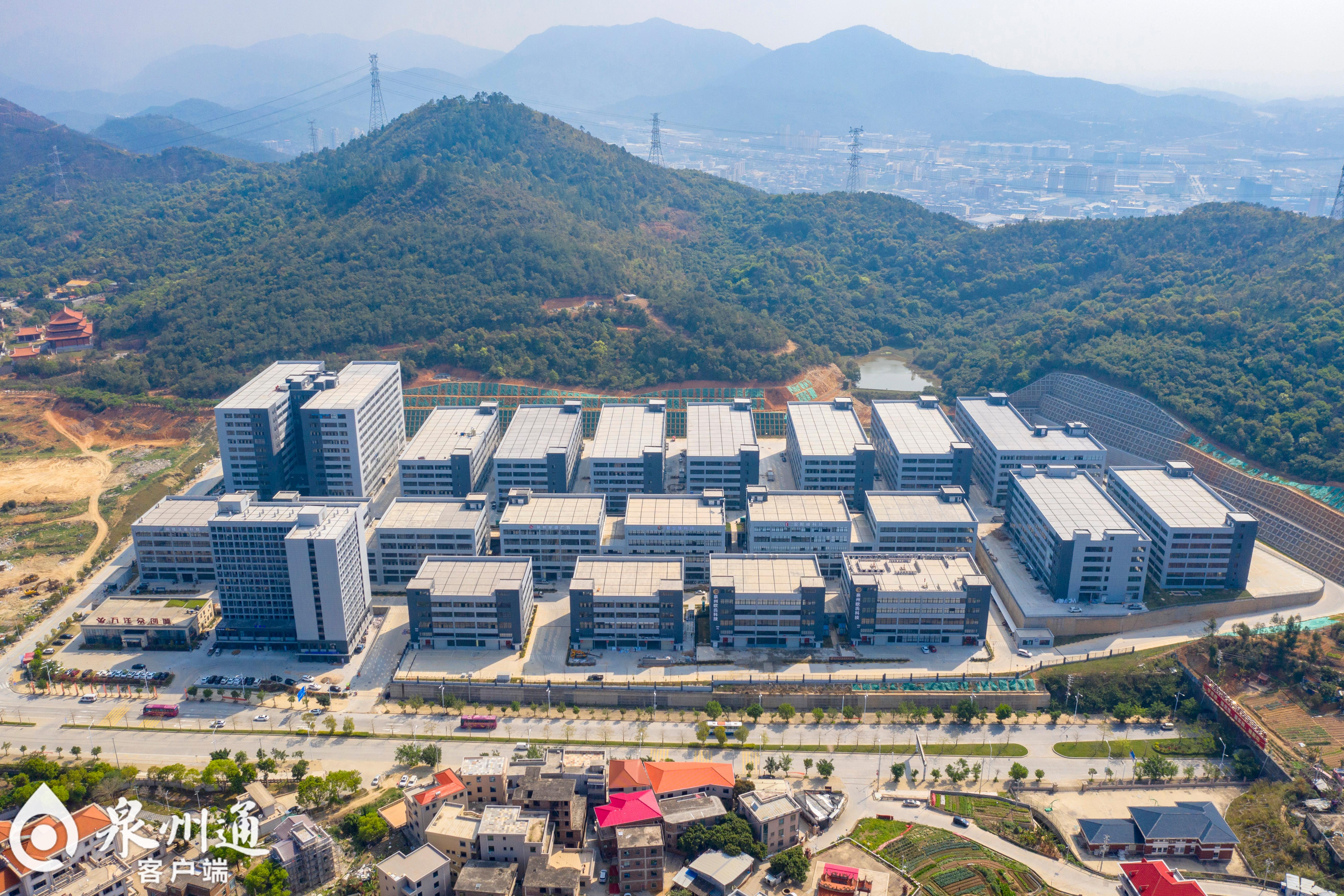 智洋创新大宗交易成交433.20万元