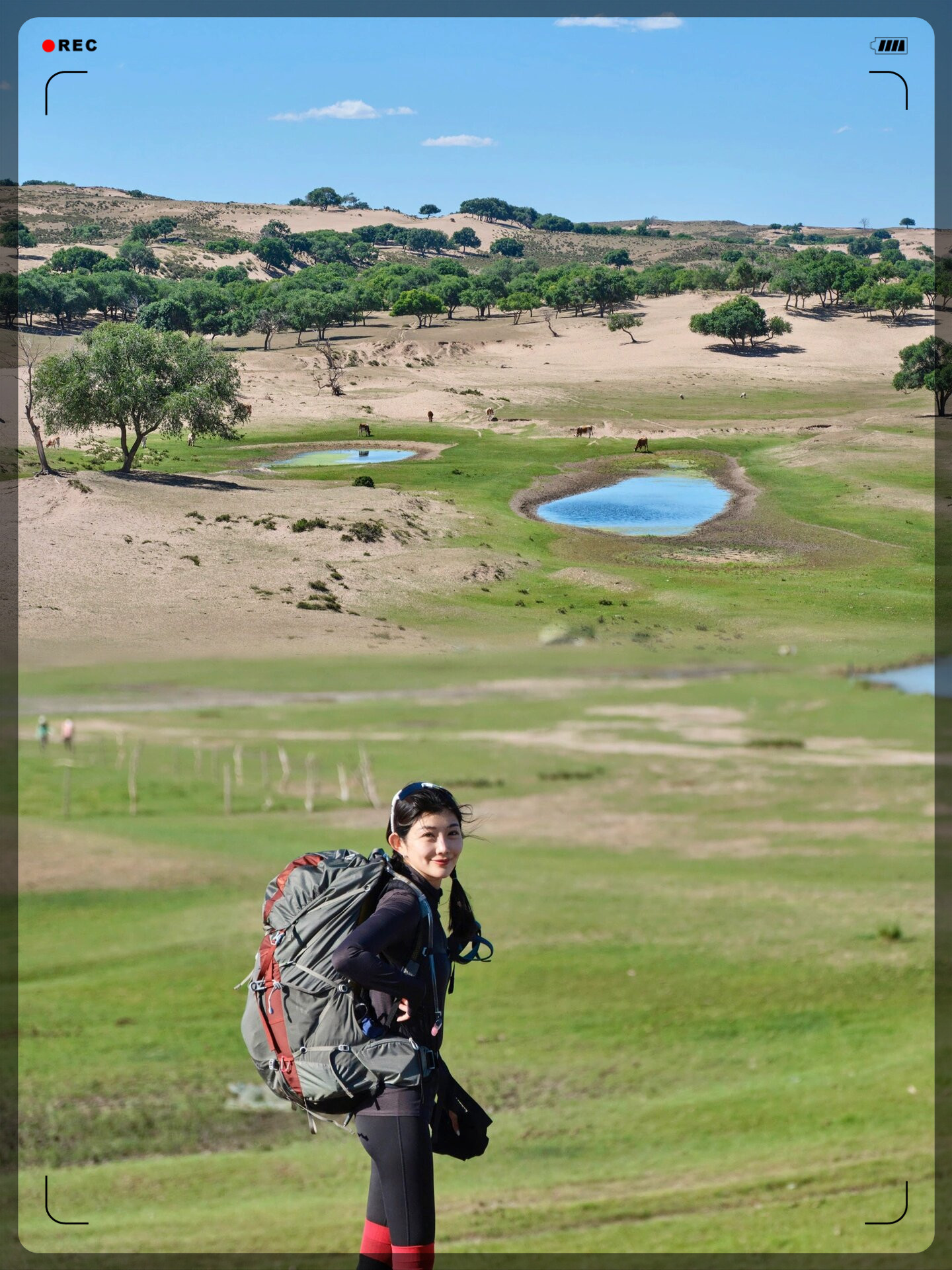 绿茵生态:中标7475.63万元浑善达克沙地综合治理项目