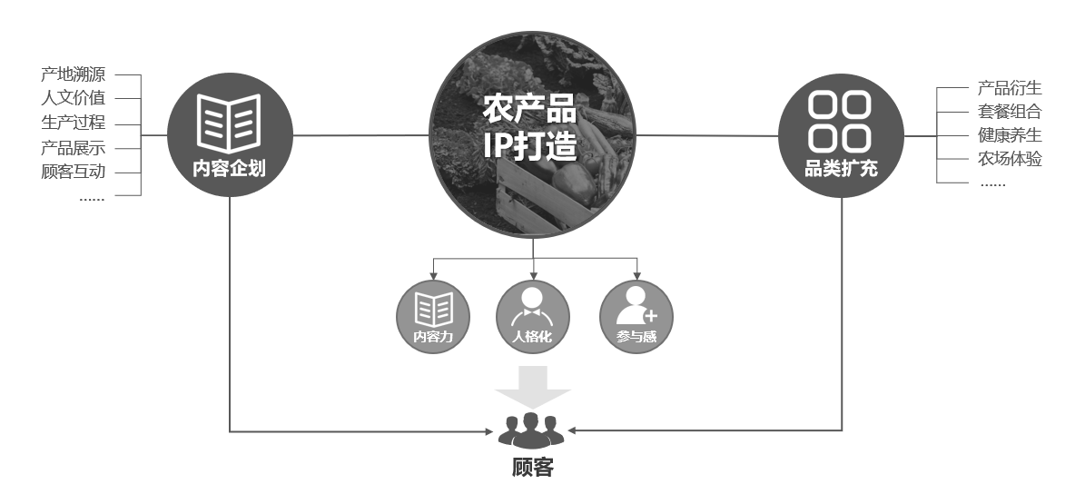 差异化布局实现突围 四类产品成基金增长新引擎