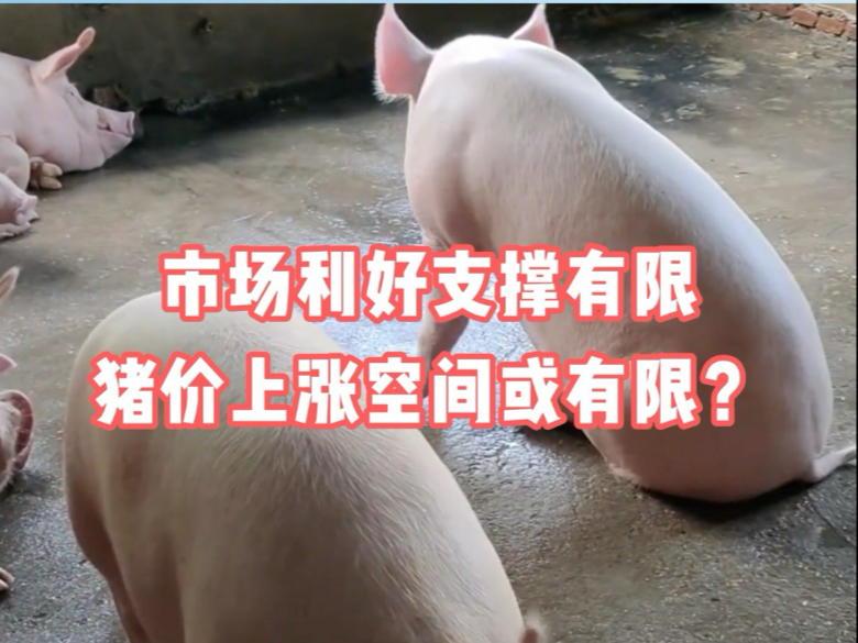 华泰证券：“反内卷”政策利好中长期猪价表现