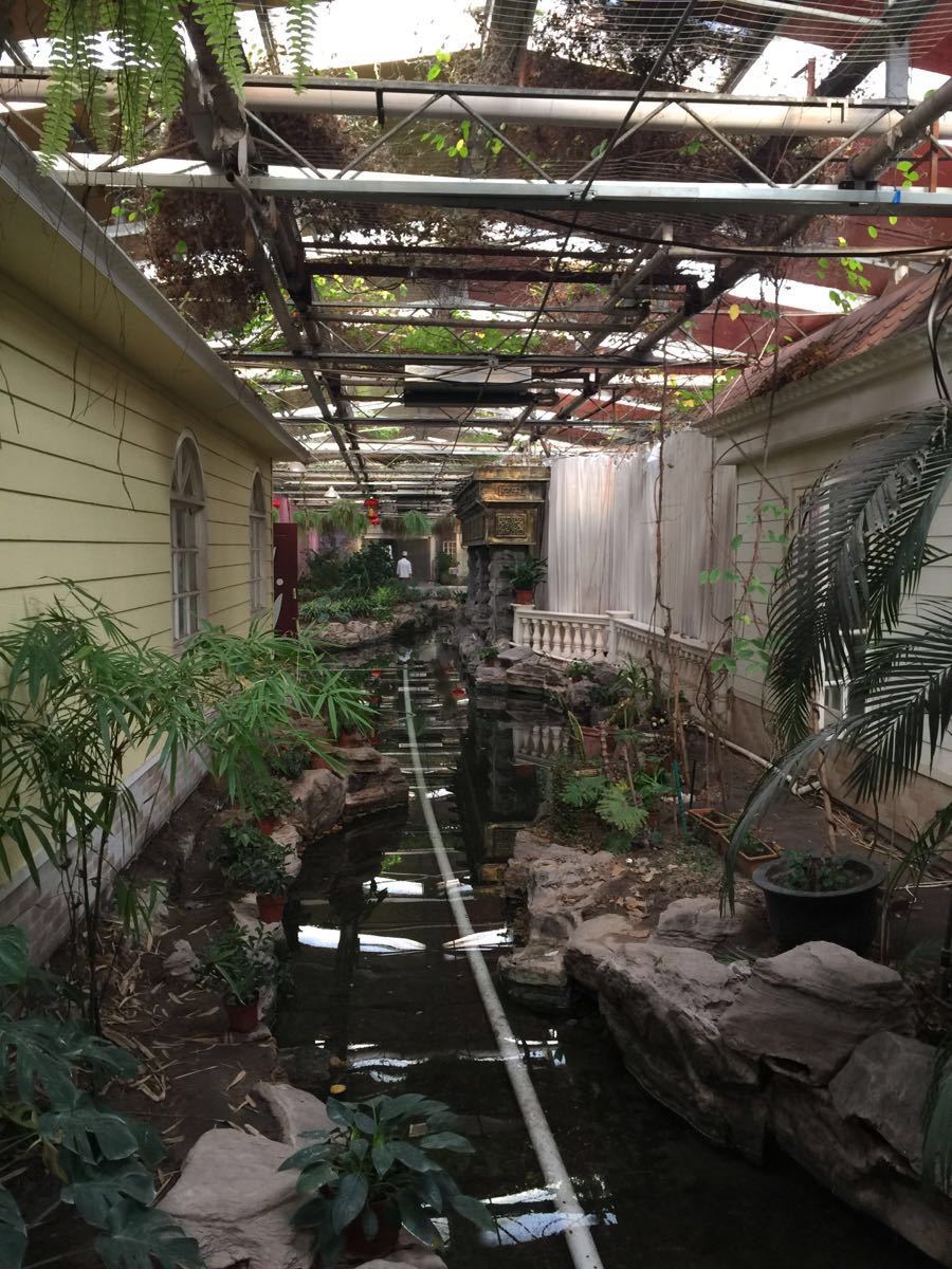 红太阳等在新疆成立生态农业公司