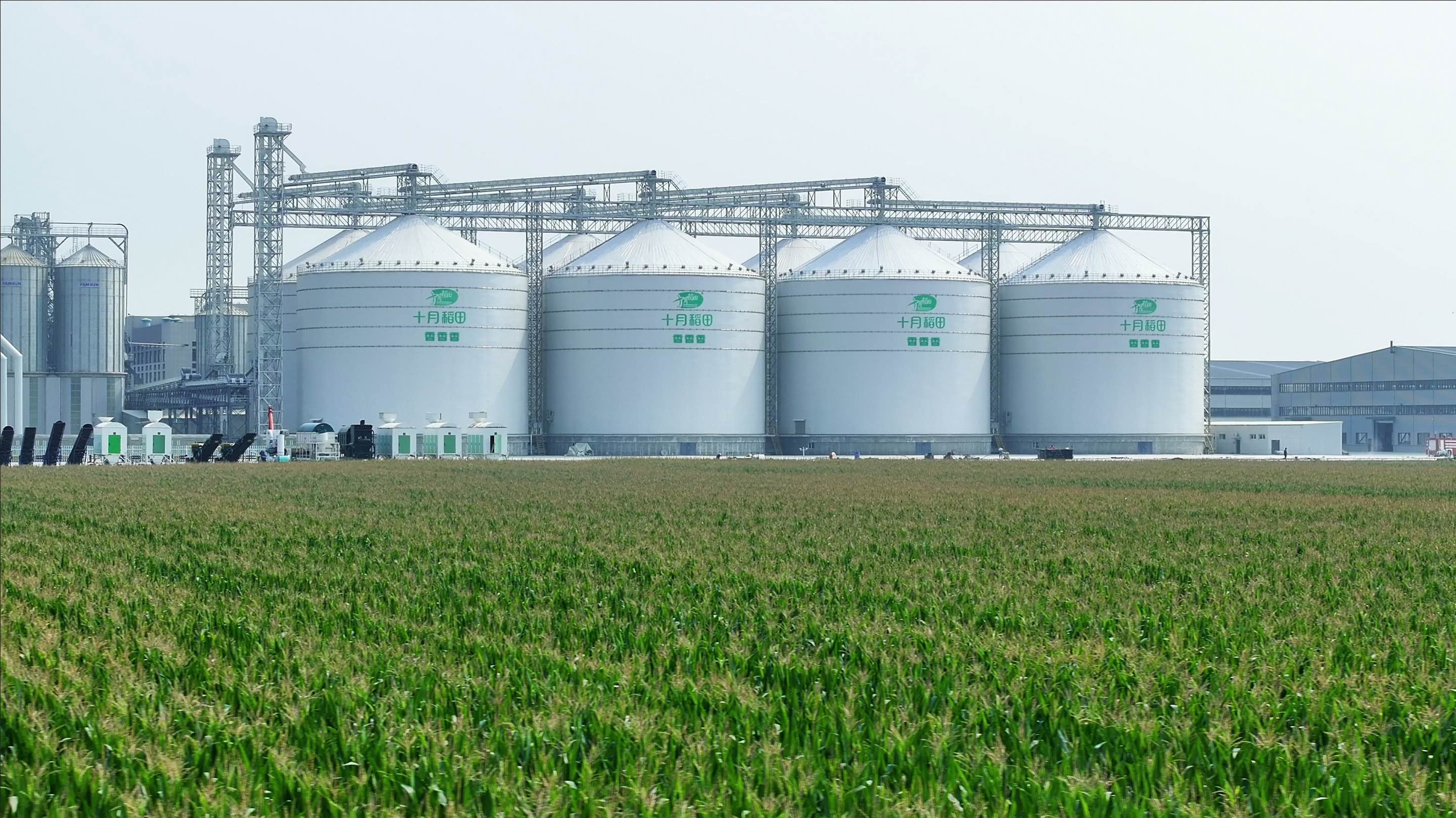 农业农村部：将会同相关部门大力拓宽农产品消费渠道 丰富消费场景