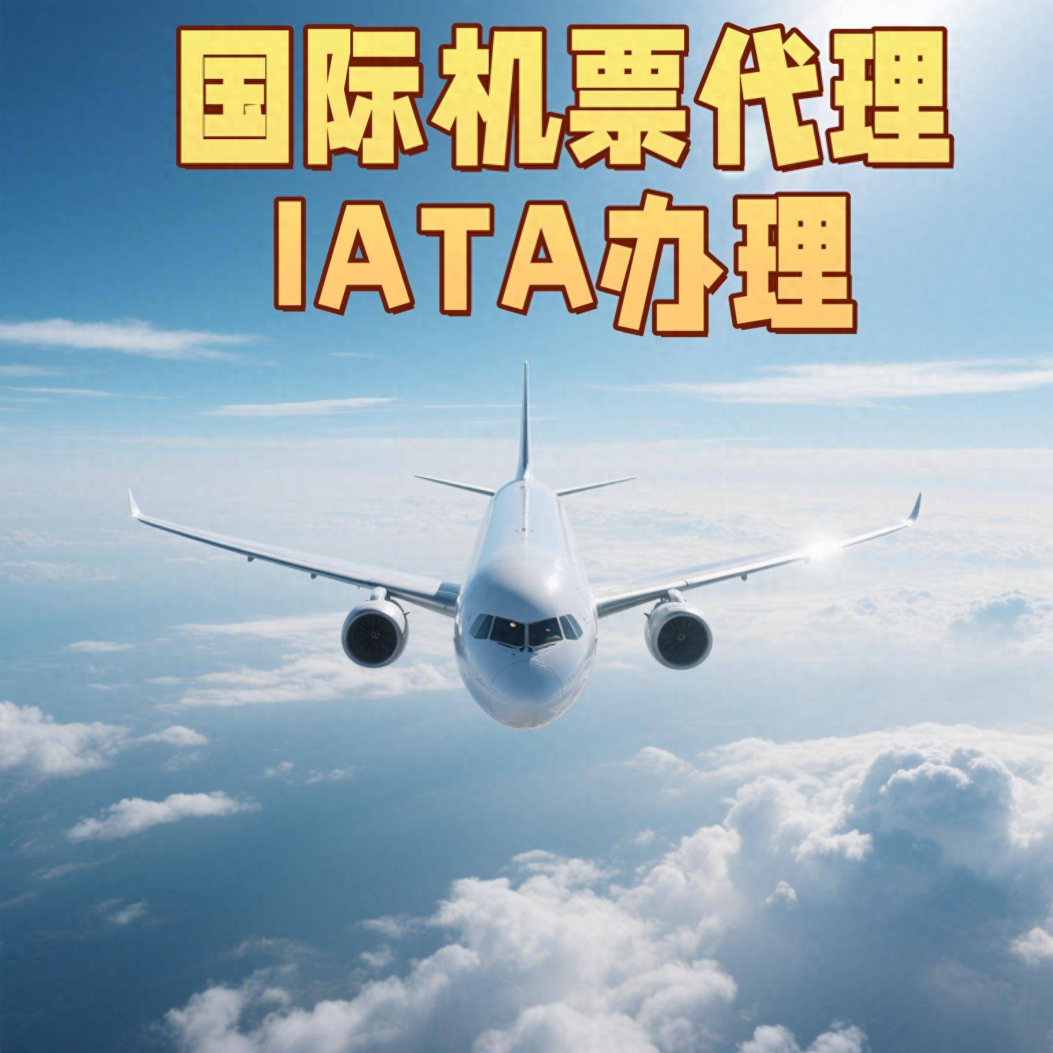 国际航协:6月客运需求增长放缓至2.6%
