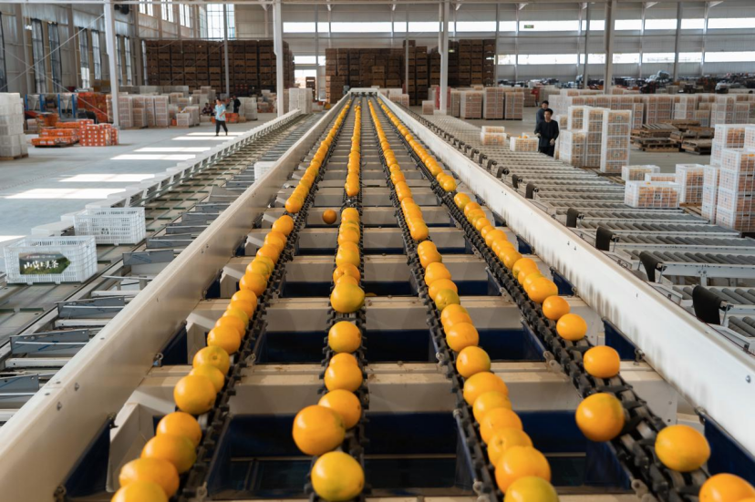 天猫在三亚新设洋橙电商公司