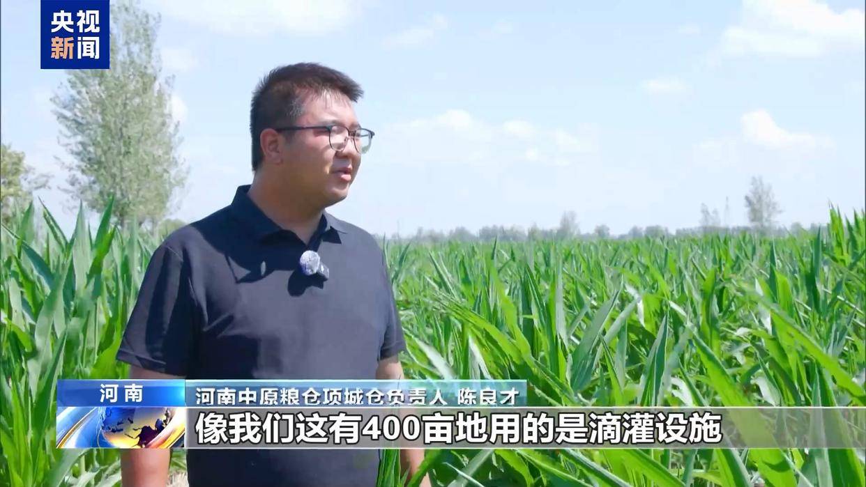 农业农村部：全力以赴抗旱防汛救灾保秋粮丰收