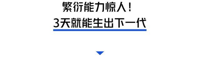 【盘中播报】195只个股突破半年线
