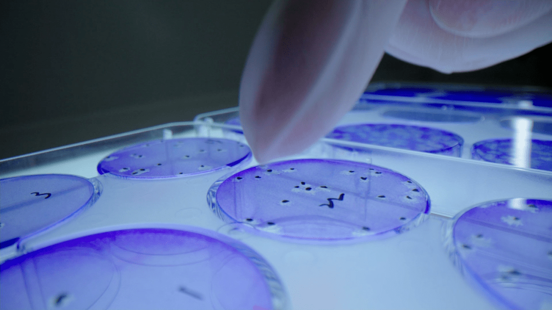 龙建股份：围绕主业向产业链上下游延伸，探索新能源、新材料等新赛道