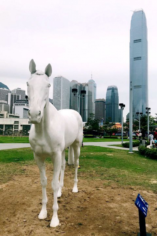 维港育马拟配售最多8180万股