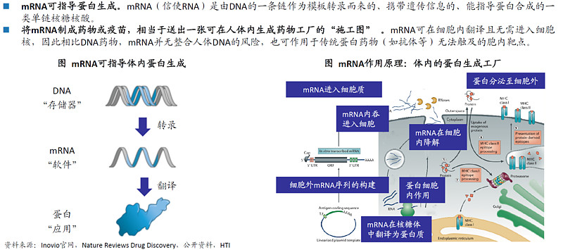 国泰海通技术研发部总经理黄韦：公司提出的一个重要策略叫“All in AI”