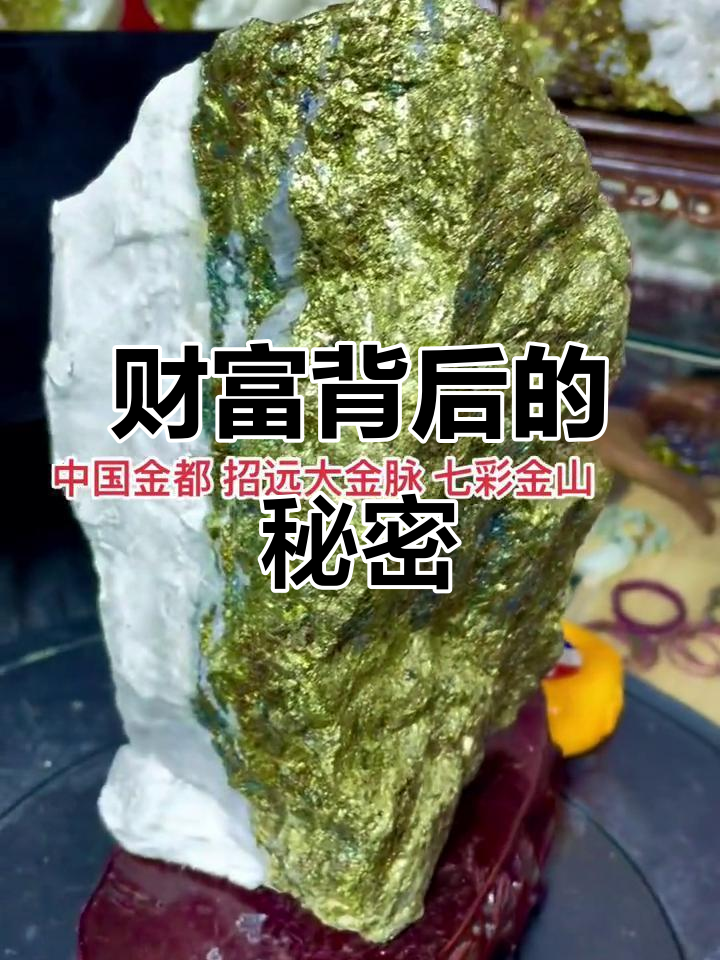 广发基金投顾4周年：以专业守护，与财富同行