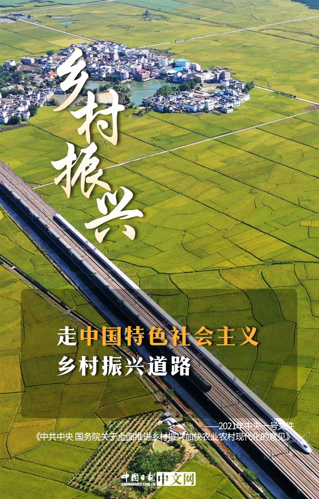 中央一号文件再次强调发挥多层次资本市场作用 我国多层次资本市场支持乡村振兴大有可为