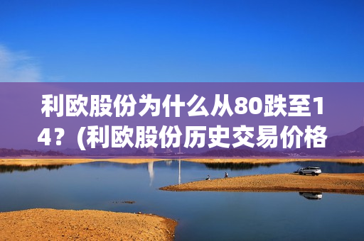 利欧股份录得13天8板