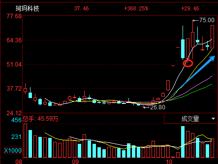 63只创业板股今日换手率超20%