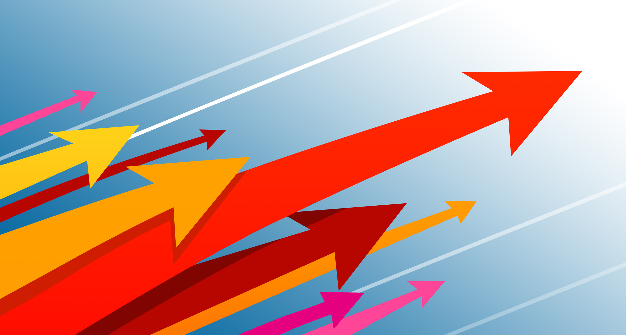 广东明珠12月5日龙虎榜数据