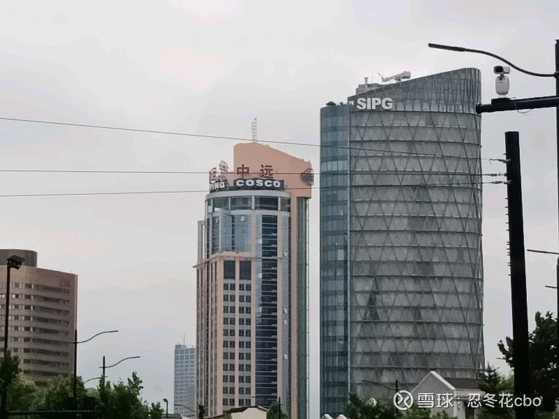 夯基垒台，中远海控交出亮丽一季报