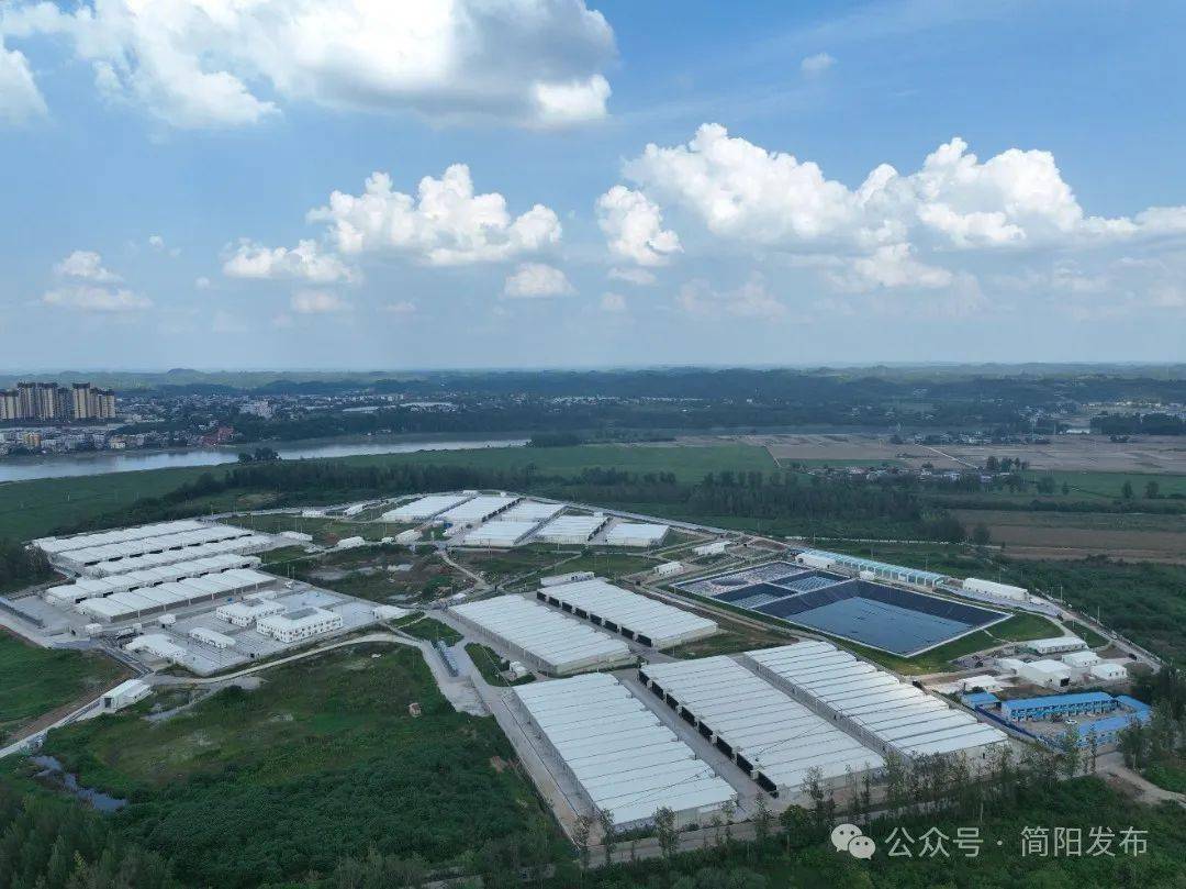 专访恒锋信息总裁欧霖杰：“科技+养老”双轮驱动 AI创新赋能出海