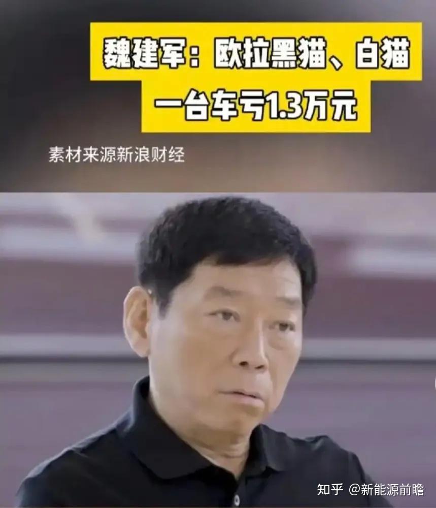 长城汽车股份有限公司召回部分欧拉黑猫、欧拉白猫纯电动汽车