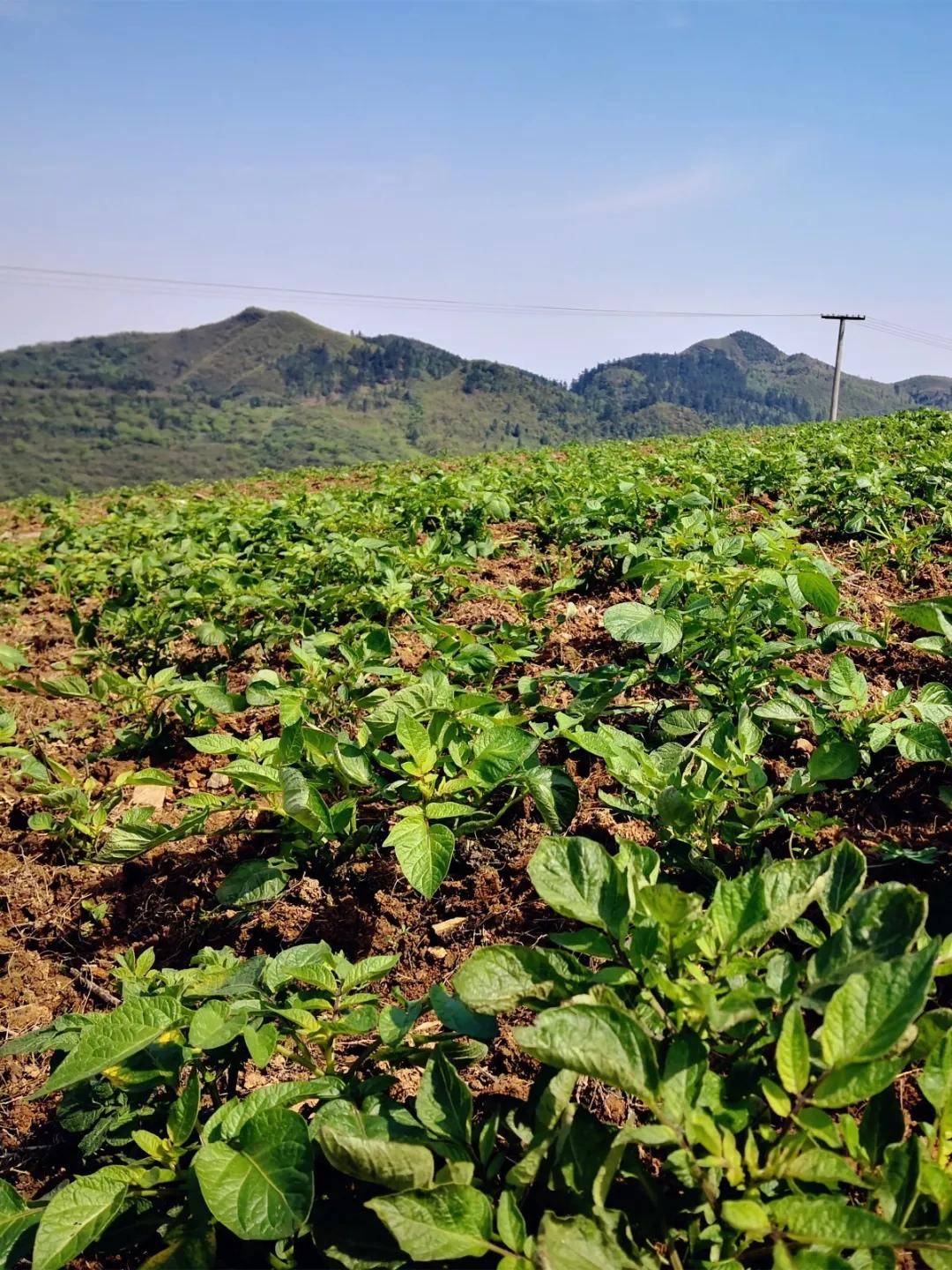 企业在仁怀投资建厂遭强行接管？ 贵州遵义：有关问题提级调查