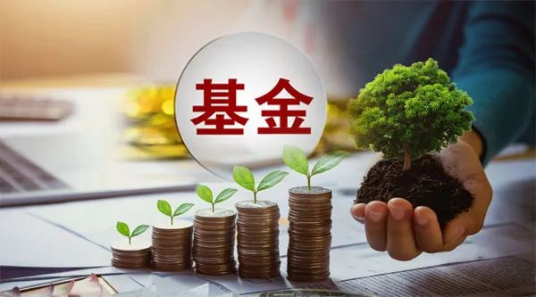 年内最高回报超44%，医药主题基金强势逆袭