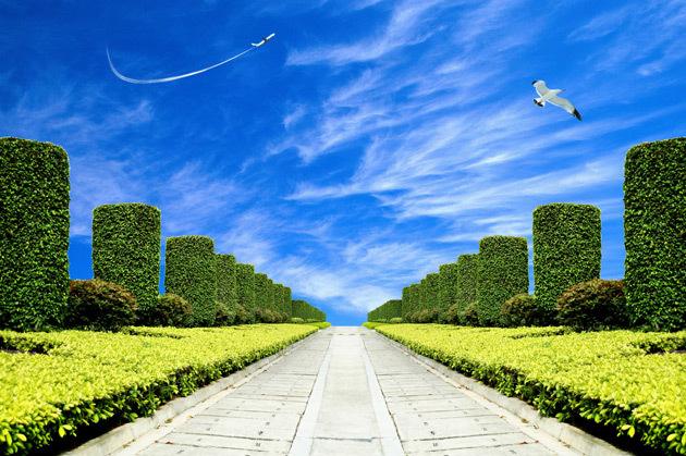 红利投资恒久远，盈利质量谱新篇――华证-国元证券红利优选指数正式发布