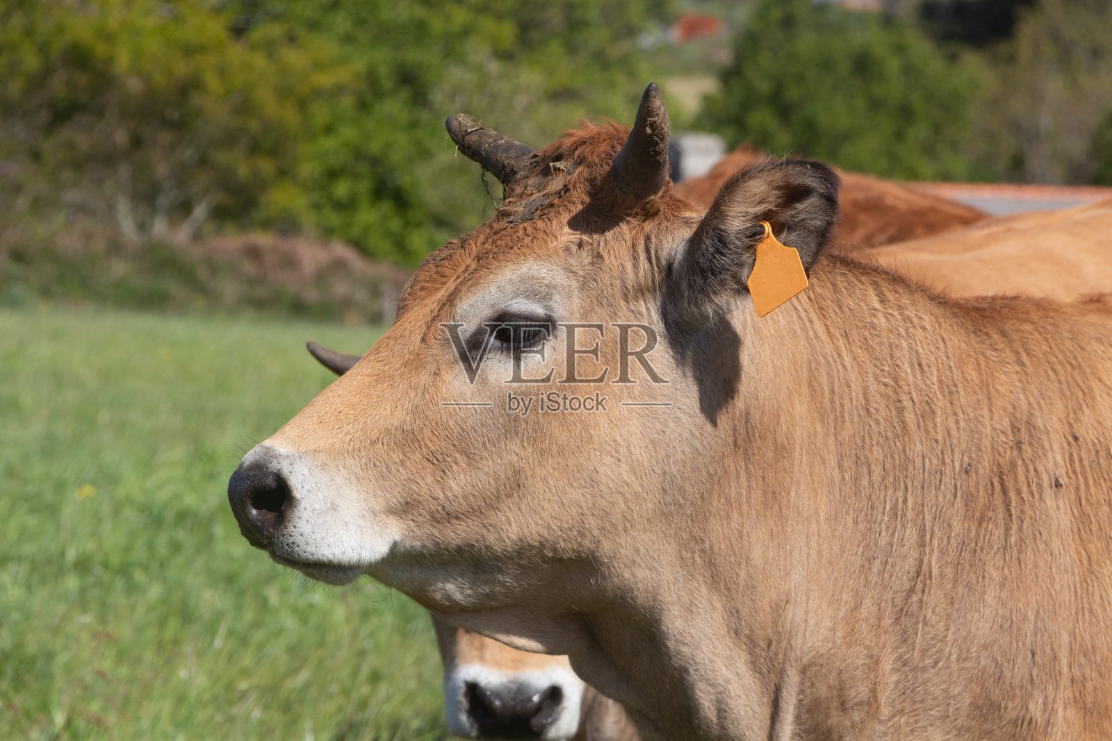 “牛基”沉浮录：穿越牛熊者寥寥 价值为锚者长青